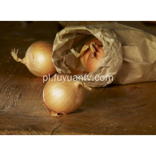 Professional Exporting New Season Fresh Yellow Onion